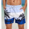 imageSILKWORLD Mens Swim Trunks Quick Dry Shorts with PocketsBluecoconut Tree