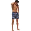 imageSILKWORLD Mens Swim Trunks Quick Dry Shorts with PocketsNavy  White Stripes