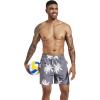 imageSILKWORLD Mens Swim Trunks Quick Dry Shorts with PocketsPalm Leafgrey
