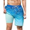 imageSILKWORLD Mens Swim Trunks Quick Dry Swimming Shorts with Compression Liner and Zipper Pockets7Blue Green Coconut Tree