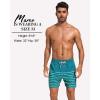 imageSILKWORLD Mens Swim Trunks with Compression Liner 2 in 1 Quick Dry Bathing Suit Beach Shorts with Zipper PocketsDark Green Stripes