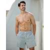 imageSILKWORLD Mens Swim Trunks with Compression Liner 2 in 1 Quick Dry Bathing Suit Beach Shorts with Zipper PocketsGraywhite Vertical Stripe