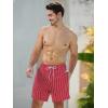 imageSILKWORLD Mens Swim Trunks with Compression Liner 2 in 1 Quick Dry Bathing Suit Beach Shorts with Zipper PocketsRed Vertical Stripe