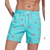 imageSILKWORLD Mens Swimming Trunks with Compression Liner 2 in 1 QuickDry Swim Shorts with Zipper PocketsBlue Pink Fish