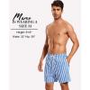 imageSILKWORLD Mens Swim Trunks with Compression Liner 2 in 1 Quick Dry Bathing Suit Beach Shorts with Zipper PocketsBluewhite Vertical Stripes
