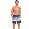 imageSILKWORLD Mens Swim Trunks Quick Dry Beach Shorts with PocketsColored Stripes