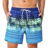 imageSILKWORLD Mens Swim Trunks Quick Dry Beach Shorts with PocketsCoconut Tree Pineappleblue