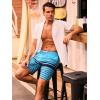 image:imageSILKWORLD Mens Swim Trunks with Compression Liner Quick Dry Board Shorts 9 Stretch Bathing Suits with 4Hole WaistbandP02 Royal Blue Stripes