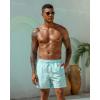 image:imageSILKWORLD Mens Swim Trunks Quick Dry Shorts with PocketsGreen Stripes