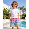 image:imageSILKWORLD Boys Swim Trunks with Compression Liner Bathing Suit Quick Dry Swim Shorts Kids Swimsuits 516 YearsA3colorful Ice Cream